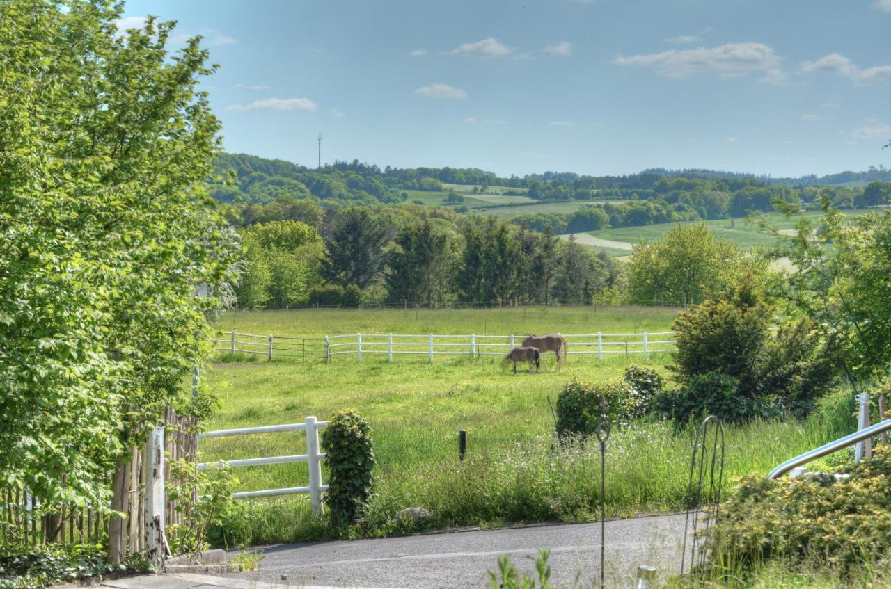 Ferienwohnung "Zum Paladin" Berg  Exteriör bild
